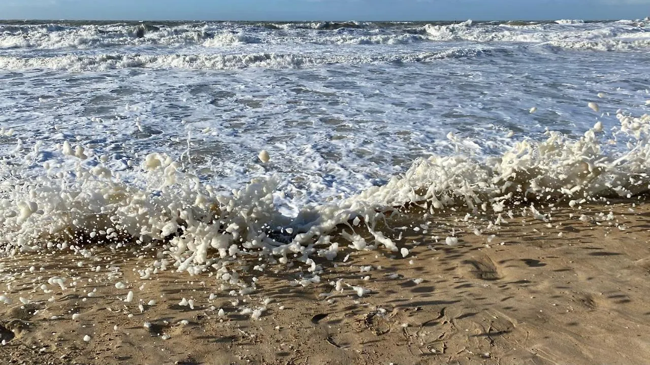 Apartmán Umi Ostende